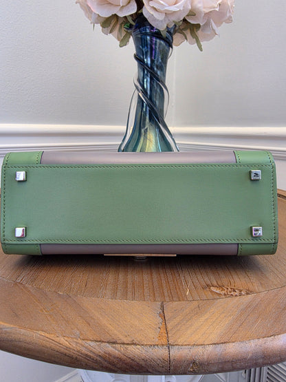 Moynat Réjane PM Top Handle Bag in Gris & Vert Calfskin