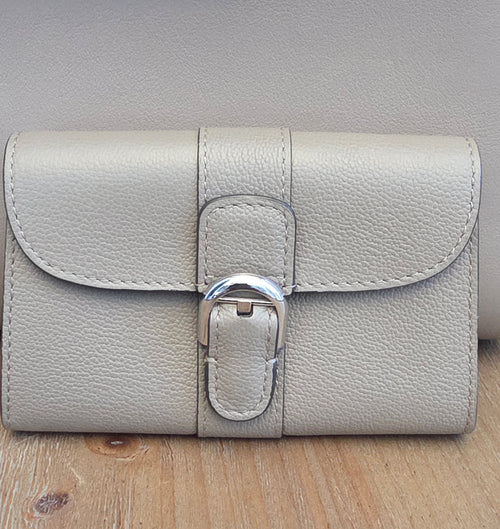 Delvaux Brillant Leather Wallet in Taupe Greige