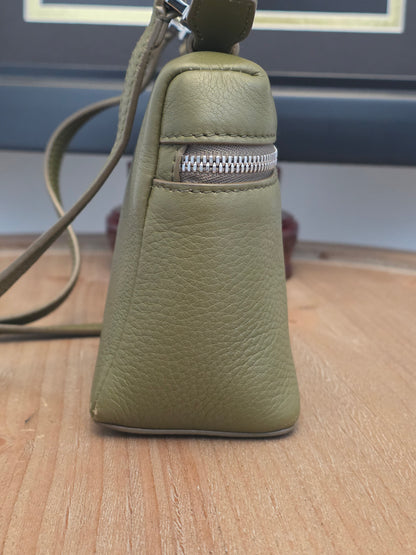 Loro Piana Olive Grained Leather Mini Vanity Crossbody Bag