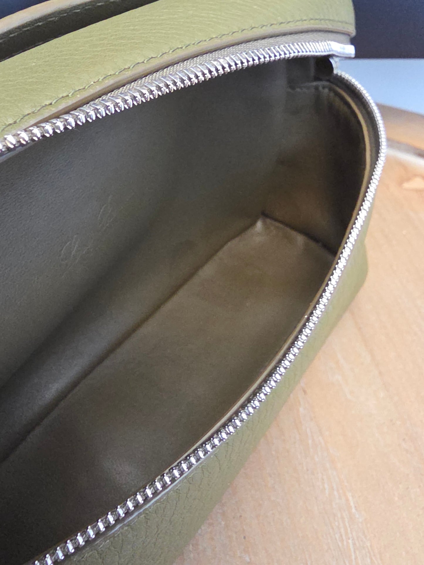 Loro Piana Olive Grained Leather Mini Vanity Crossbody Bag