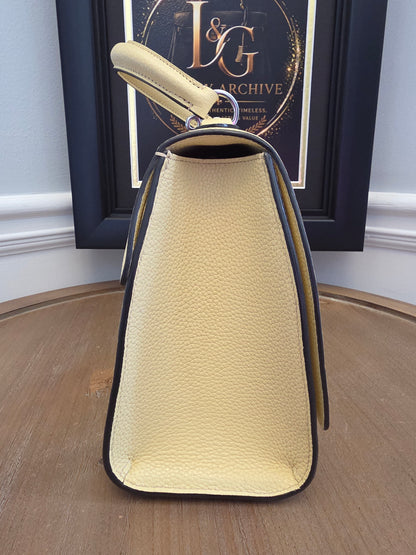 Moynat Réjane PM Greige Togo Leather Top Handle Bag