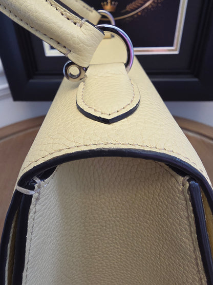 Moynat Réjane PM Greige Togo Leather Top Handle Bag