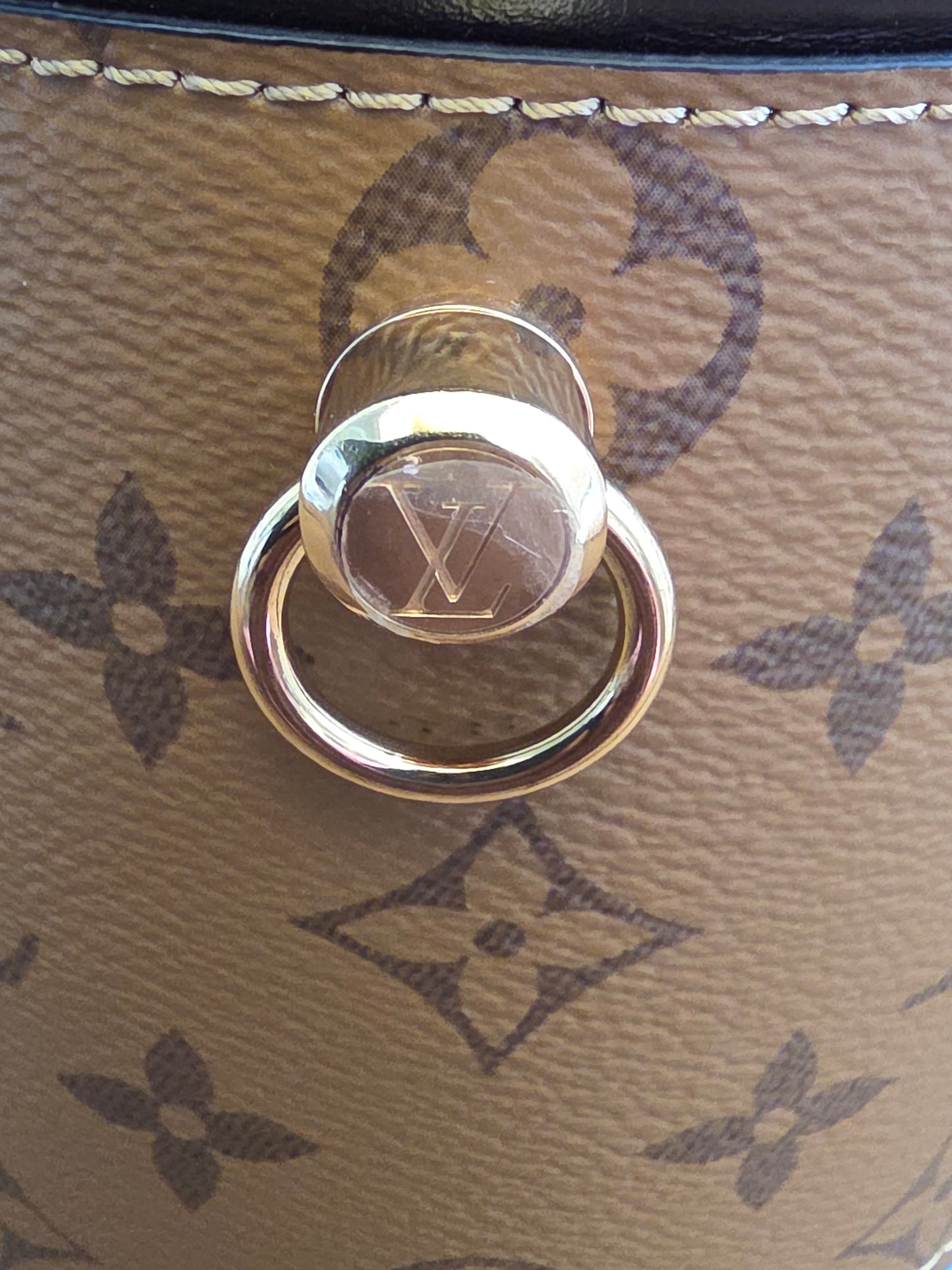Louis Vuitton Reverse Monogram Cannes Vanity Bag