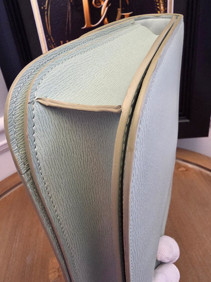 CÉLINE Classic Box Bag – Pale Celadon / Ice Mint Leather with Gold Hardware