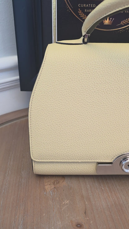 Moynat Réjane PM Greige Togo Leather Top Handle Bag